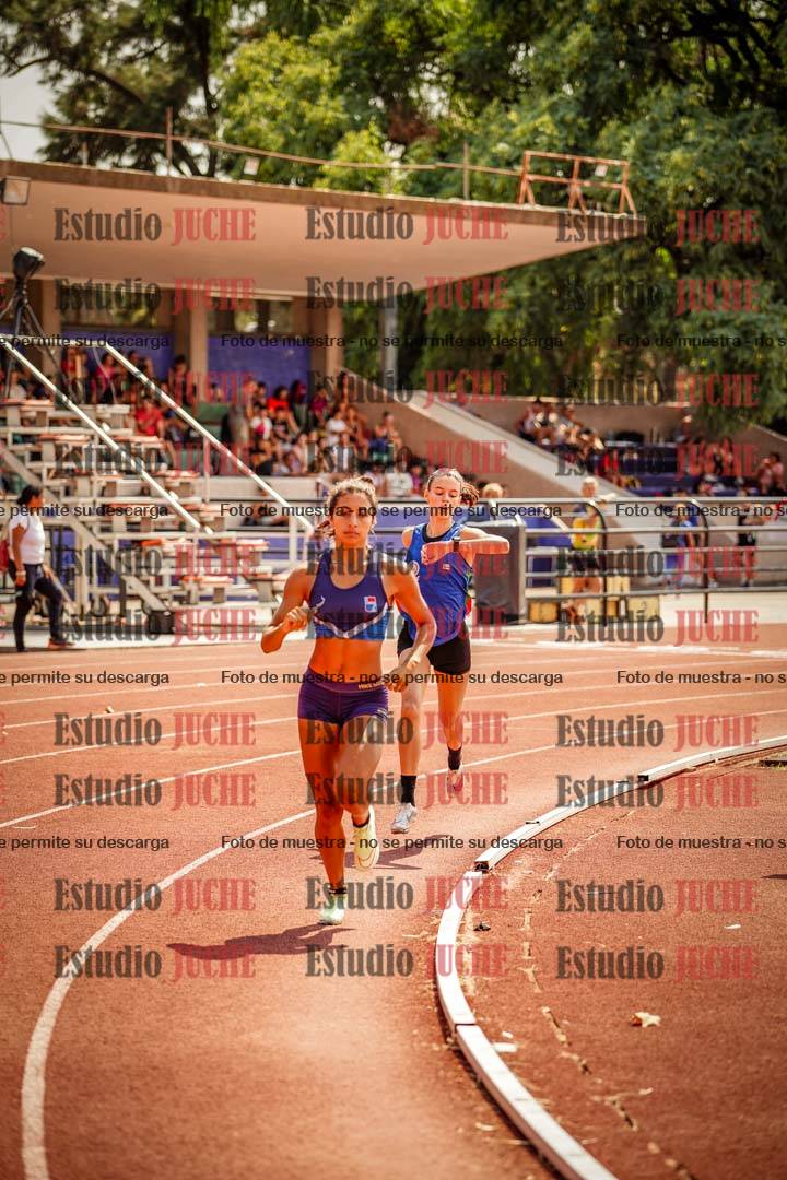 Fotos de los 800 m llanos de mujeres - combinadas 7