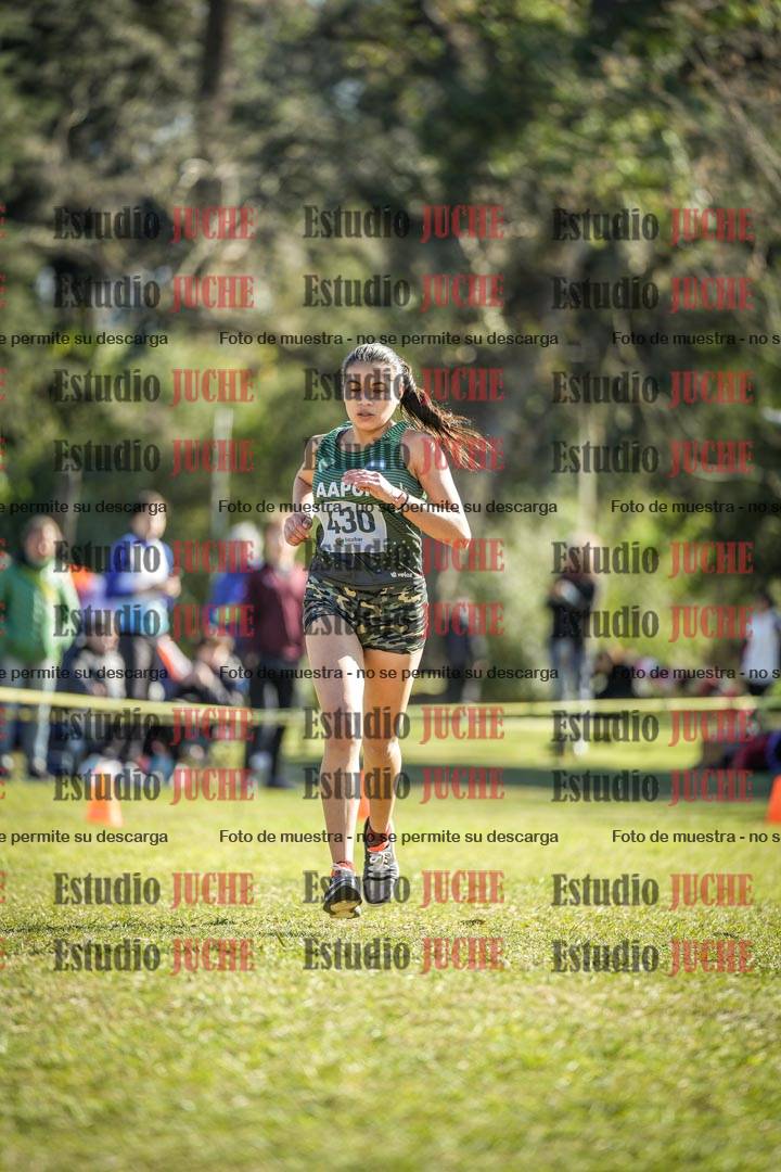 Fotos de la llegada del cross de 3000 m