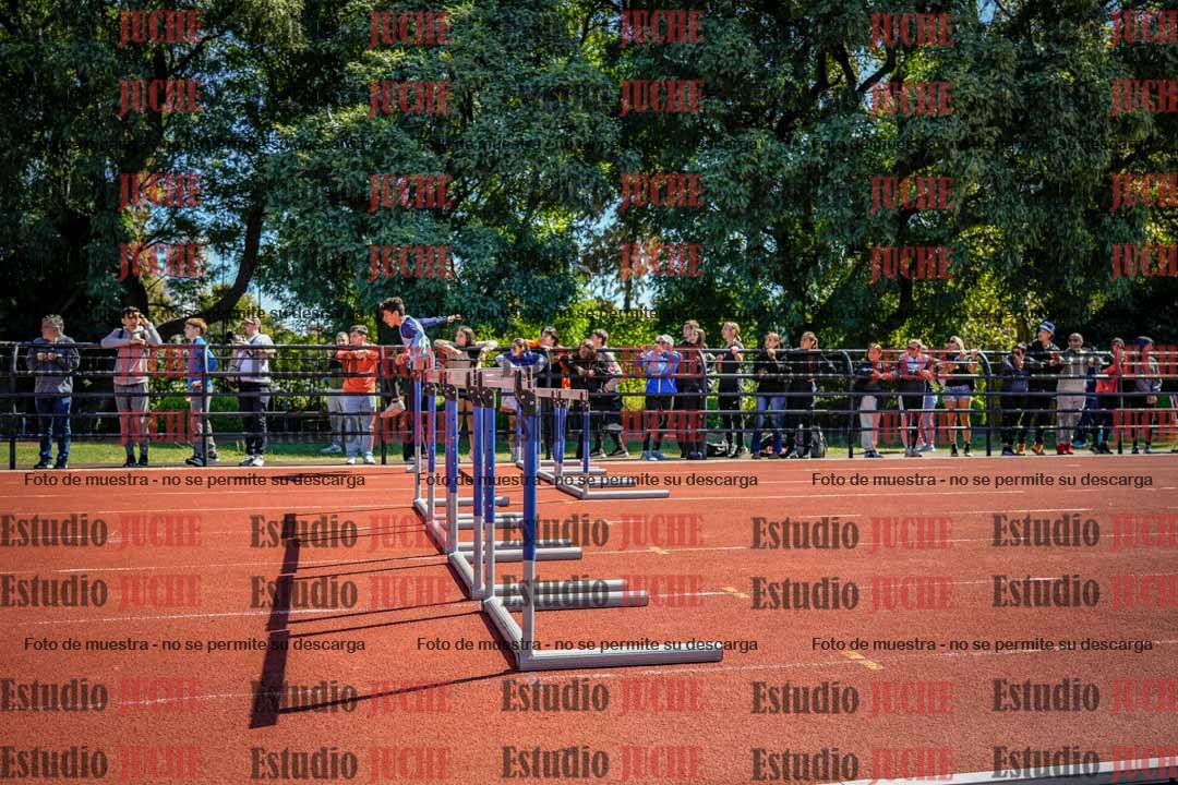Fotos de los 110 m con vallas de varones