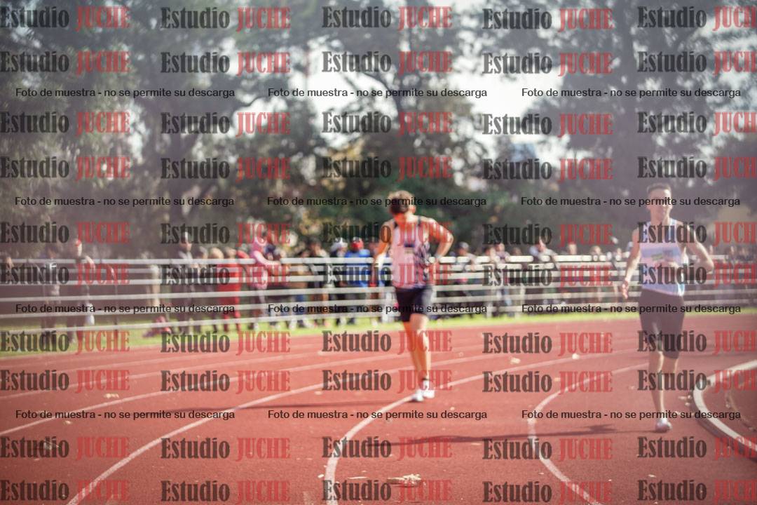 Fotos de los 800 m llanos de varones