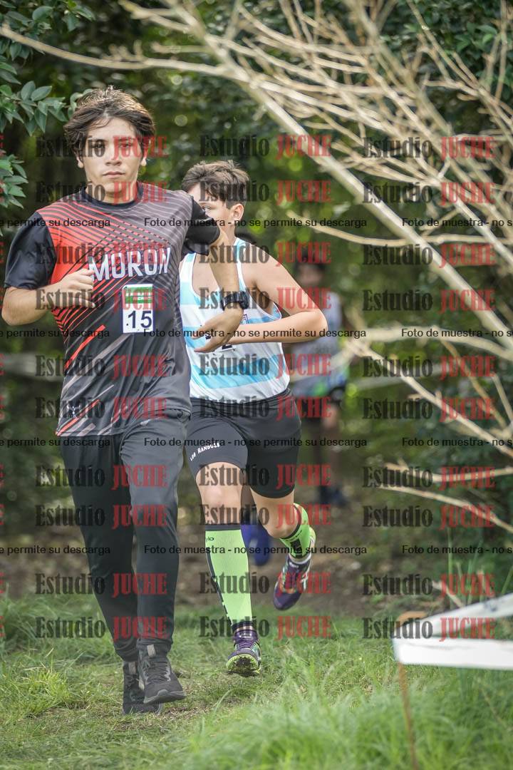 Fotos en el circuito