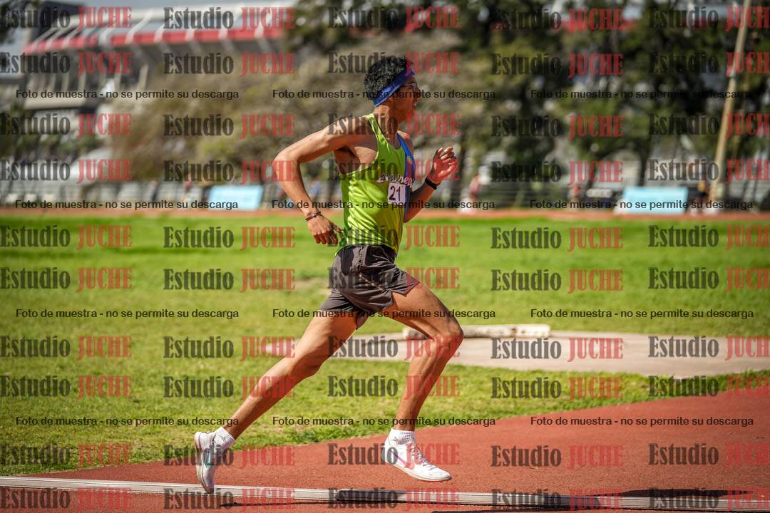Fotos de los 1500 m llanos de varones