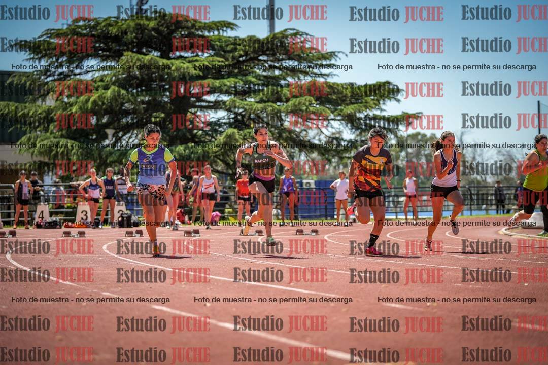 Fotos de los 100 m llanos de mujeres