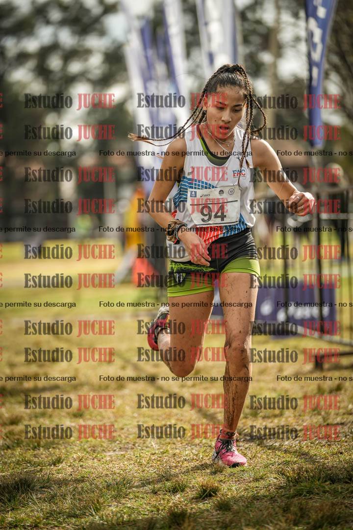 Fotos de la llegada
