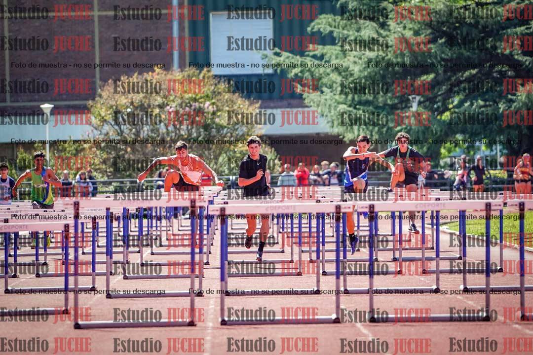 Fotos de los 110 m con vallas de varones