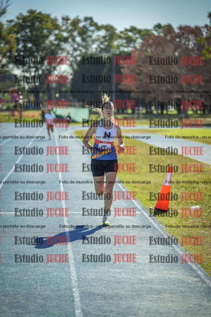 Fotos de las llegadas