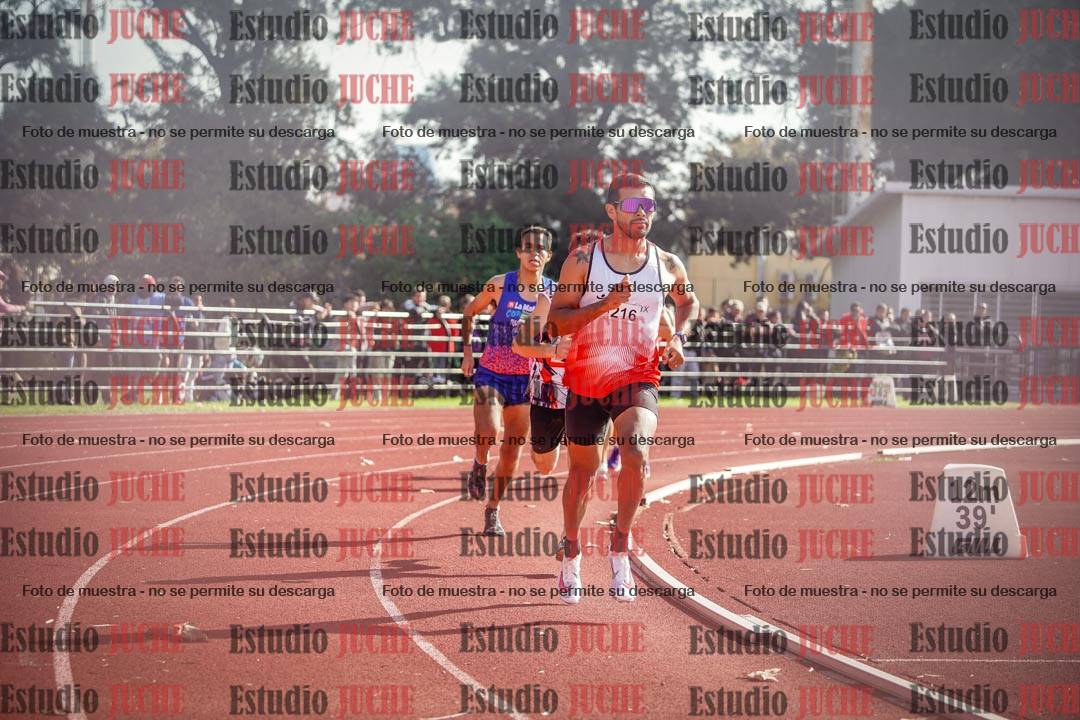 Fotos de los 800 m llanos de varones