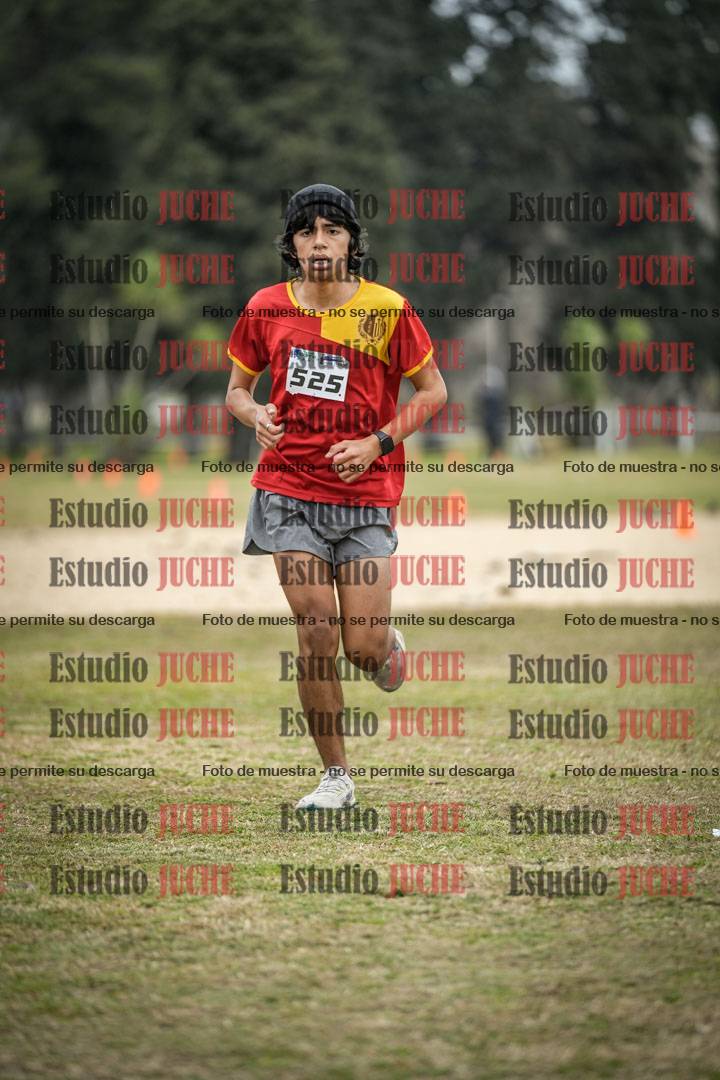 Fotos de la llegada