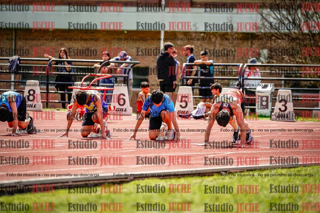Fotos de los 100 m de varones