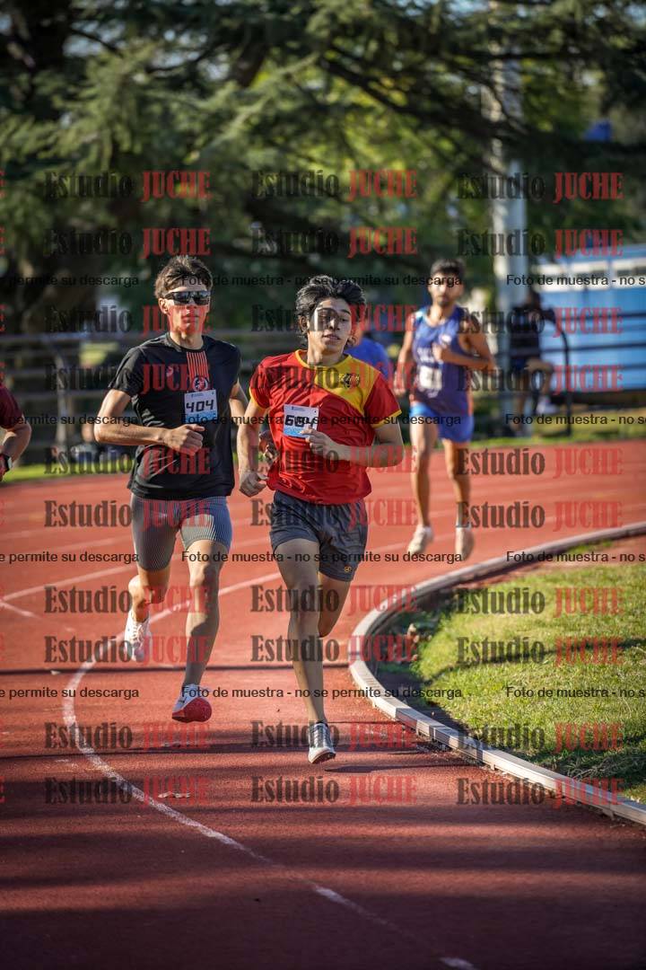 Fotos de los 800 m llanos de varones