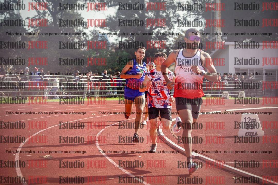 Fotos de los 800 m llanos de varones