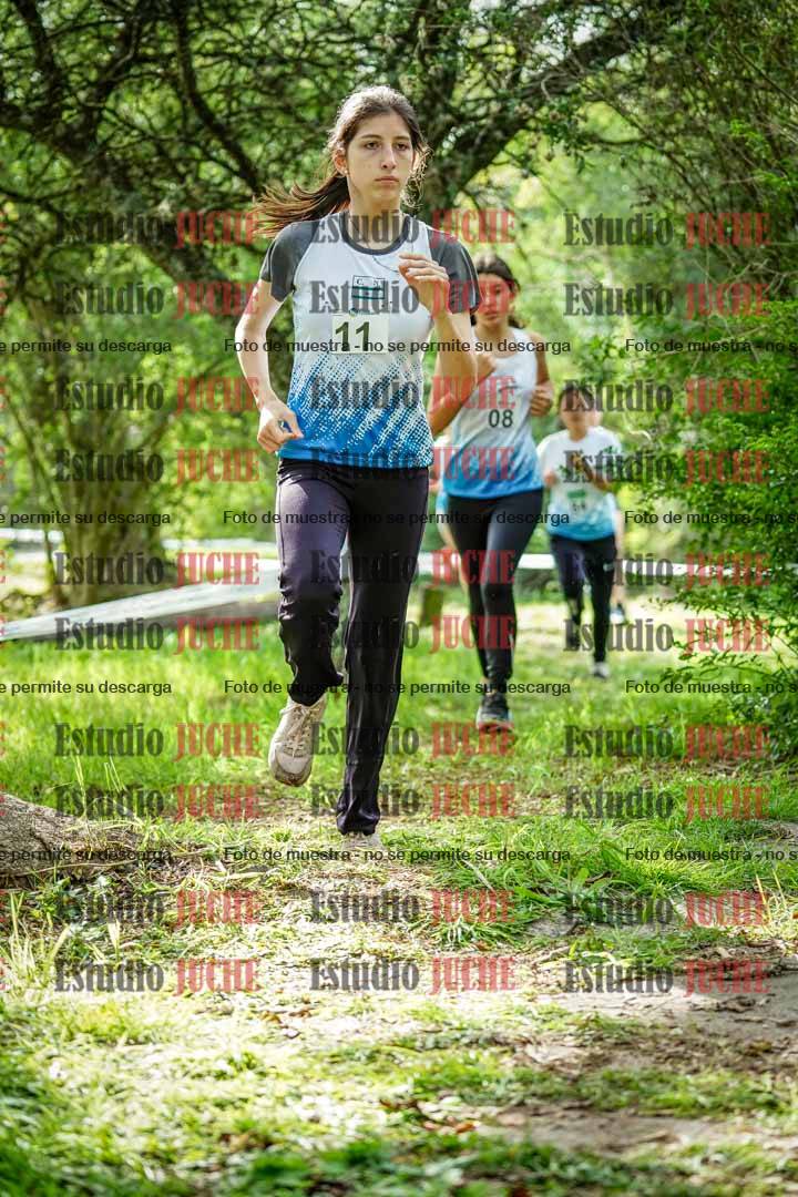 Fotos en el circuito