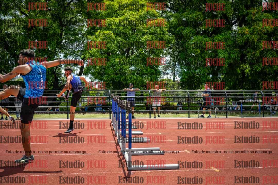 Fotos de los 110 m con vallas de varones