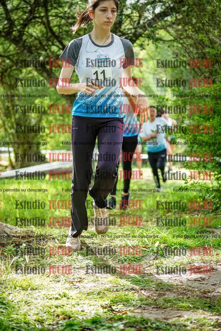 Fotos en el circuito