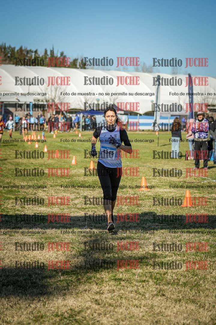 Fotos de las llegadas