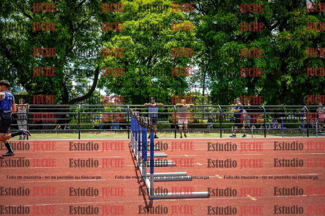 Fotos de los 110 m con vallas de varones