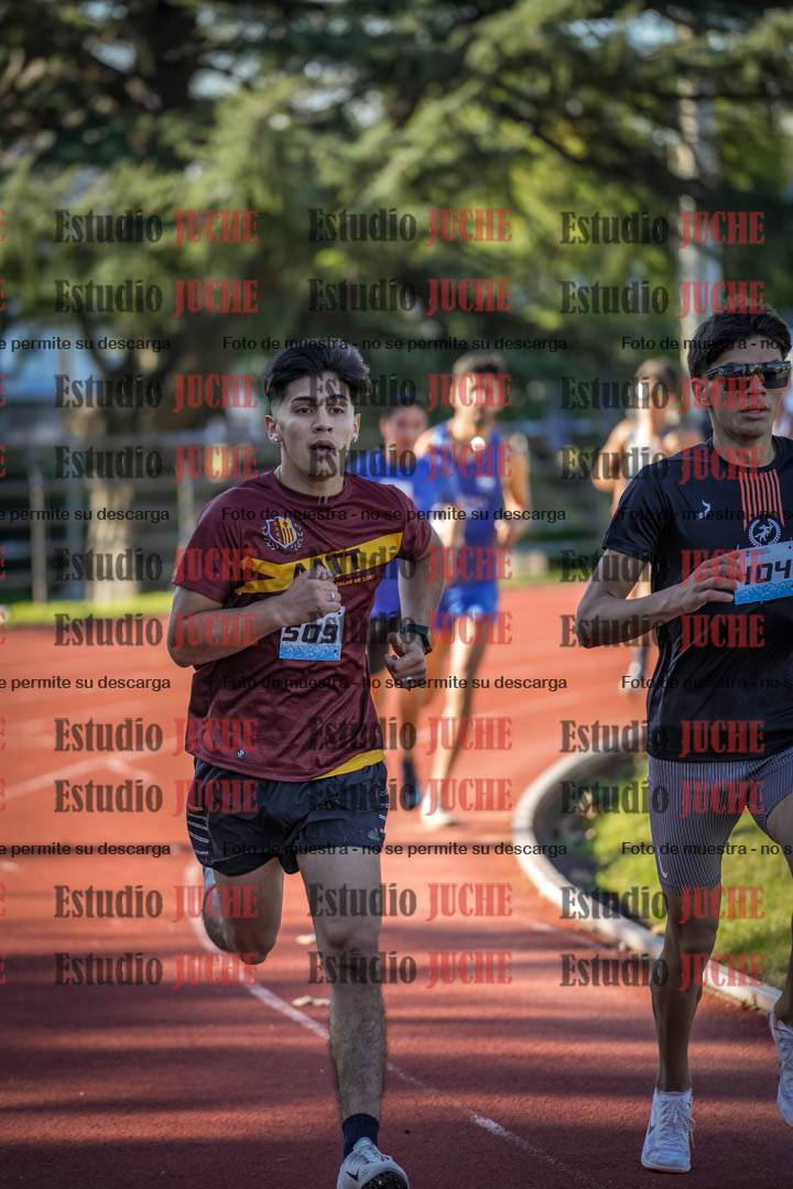 Fotos de los 800 m llanos de varones