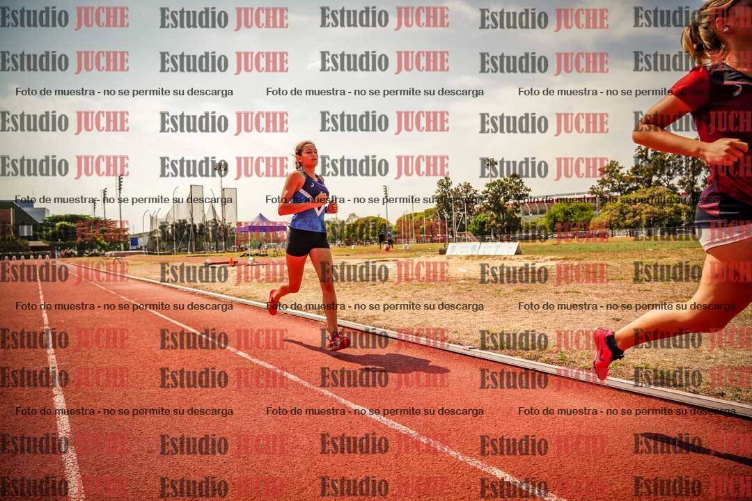 Fotos de los 800 m llanos de mujeres - combinadas 7