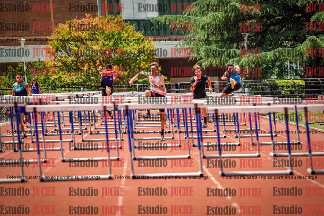 Fotos de los 110 m con vallas de varones