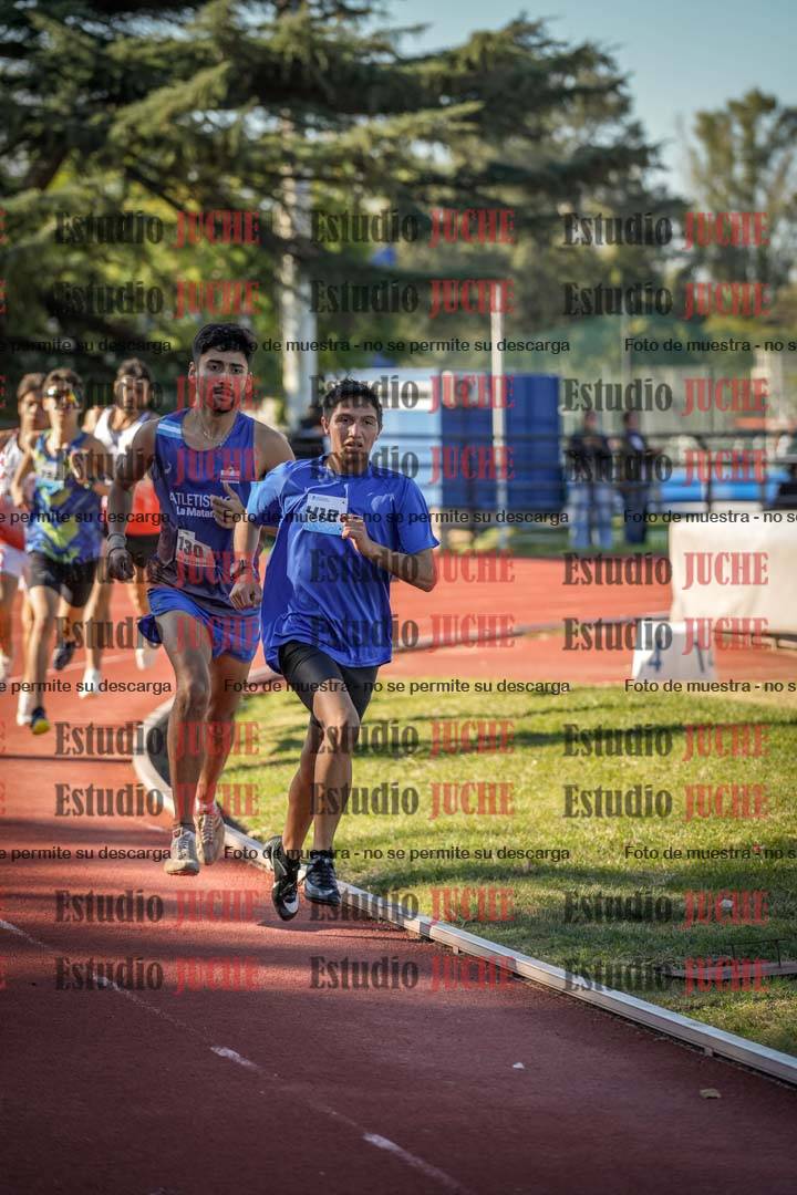 Fotos de los 800 m llanos de varones