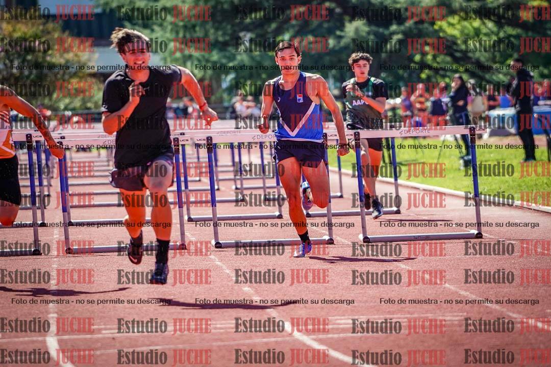 Fotos de los 110 m con vallas de varones