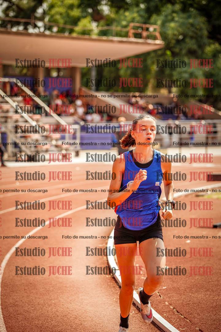 Fotos de los 800 m llanos de mujeres - combinadas 7