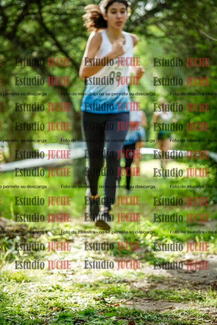 Fotos en el circuito