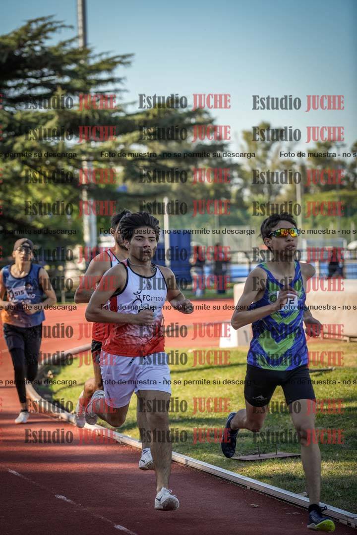Fotos de los 800 m llanos de varones