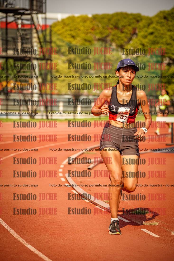 Fotos de los 1500 m llanos de mujeres