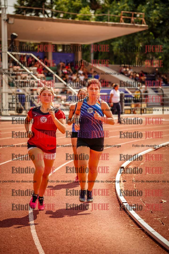 Fotos de los 800 m llanos de mujeres - combinadas 7