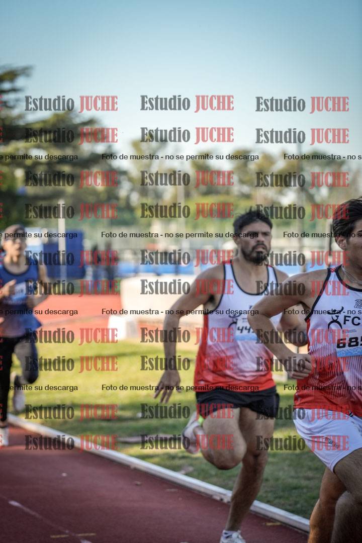 Fotos de los 800 m llanos de varones