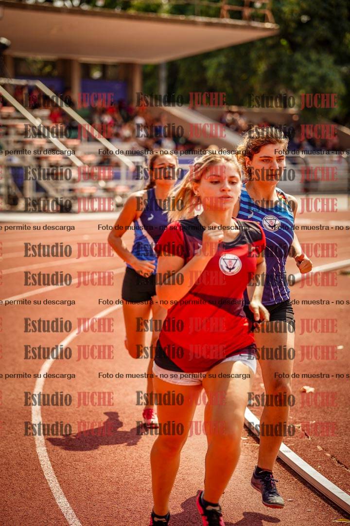 Fotos de los 800 m llanos de mujeres - combinadas 7