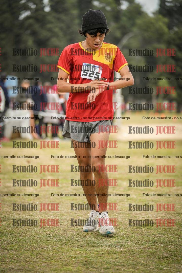 Fotos de la llegada