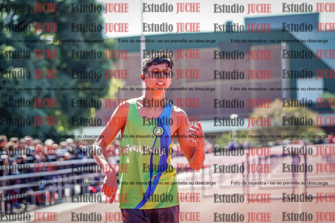 Fotos de los 110 m con vallas de varones