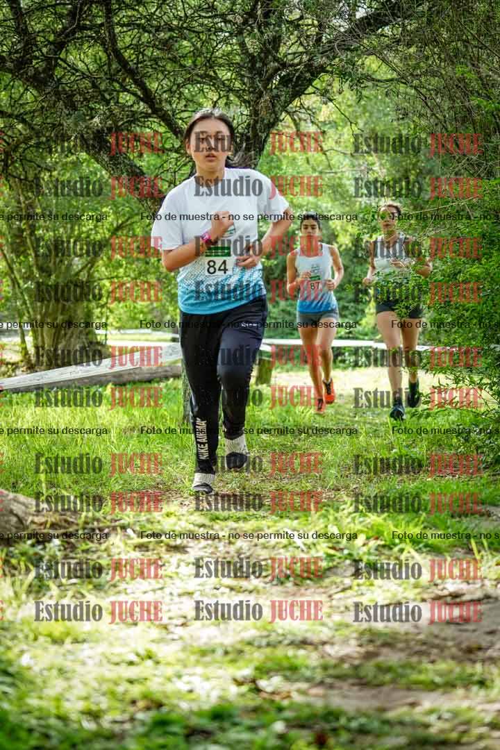 Fotos en el circuito