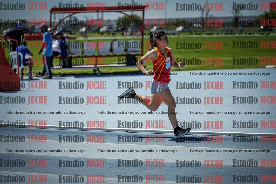 Fotos de los 800 m llanos de mujeres