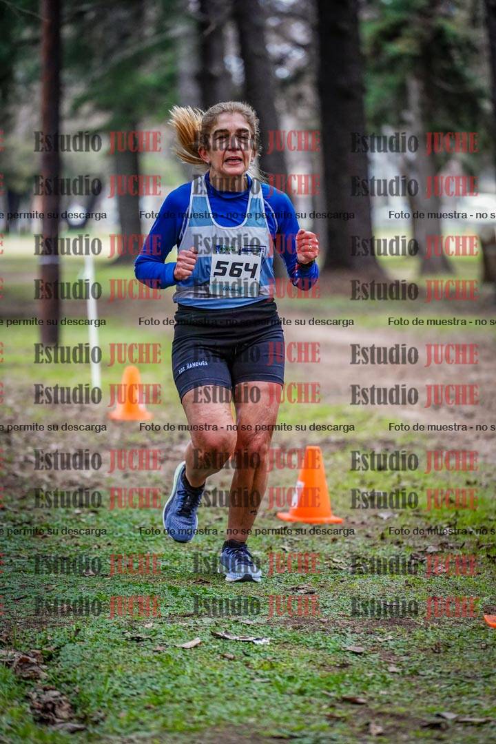 Fotos en el circuito