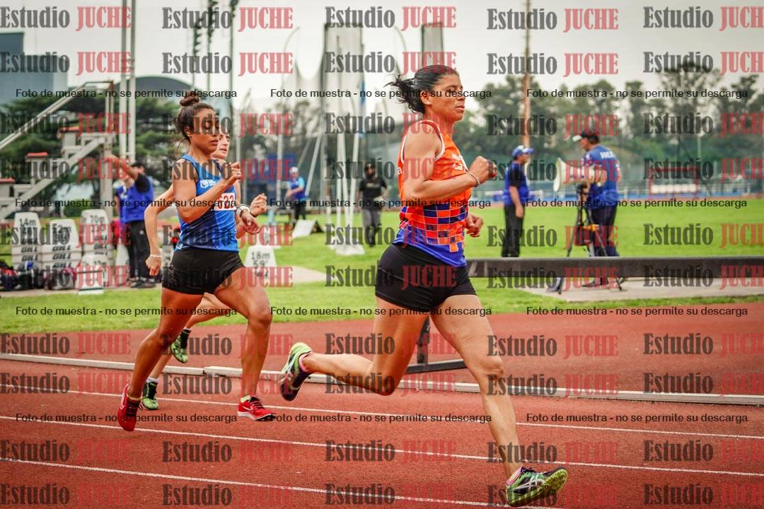 Fotos de los 800 m llanos de mujeres