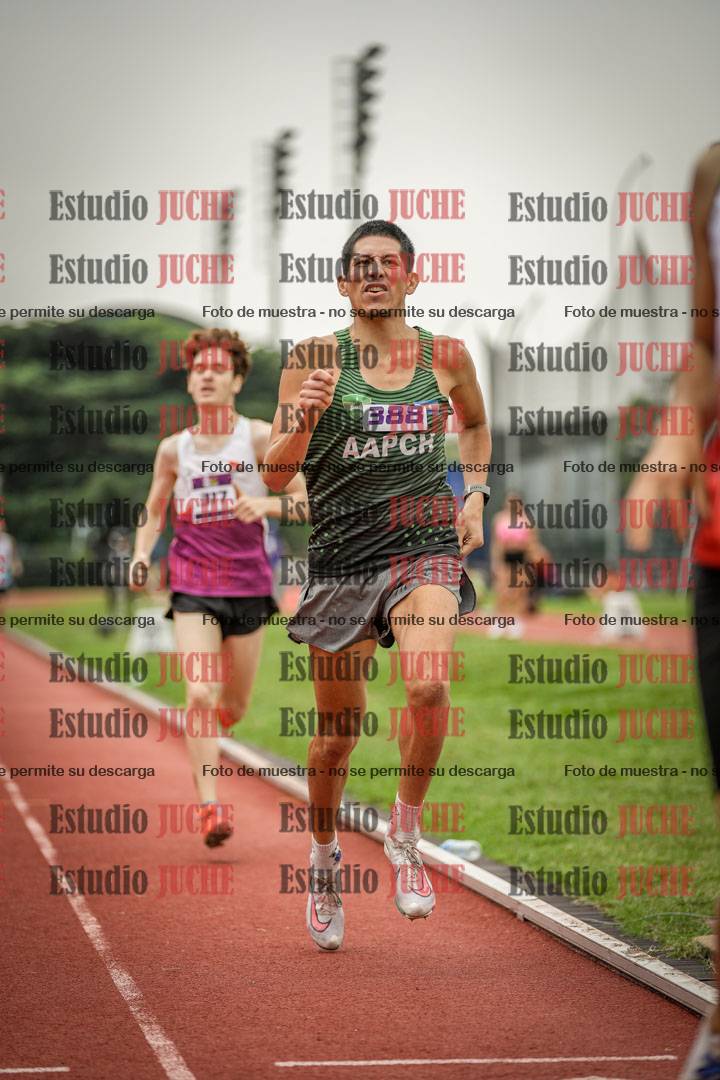 Fotos de los 800 m llanos de varones