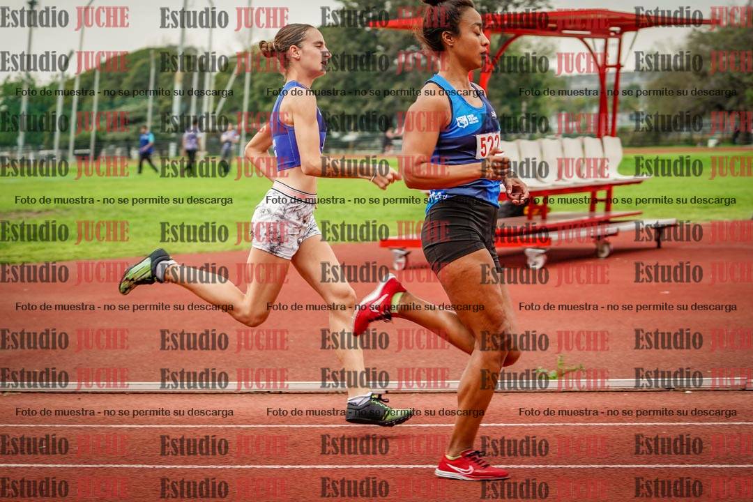 Fotos de los 800 m llanos de mujeres