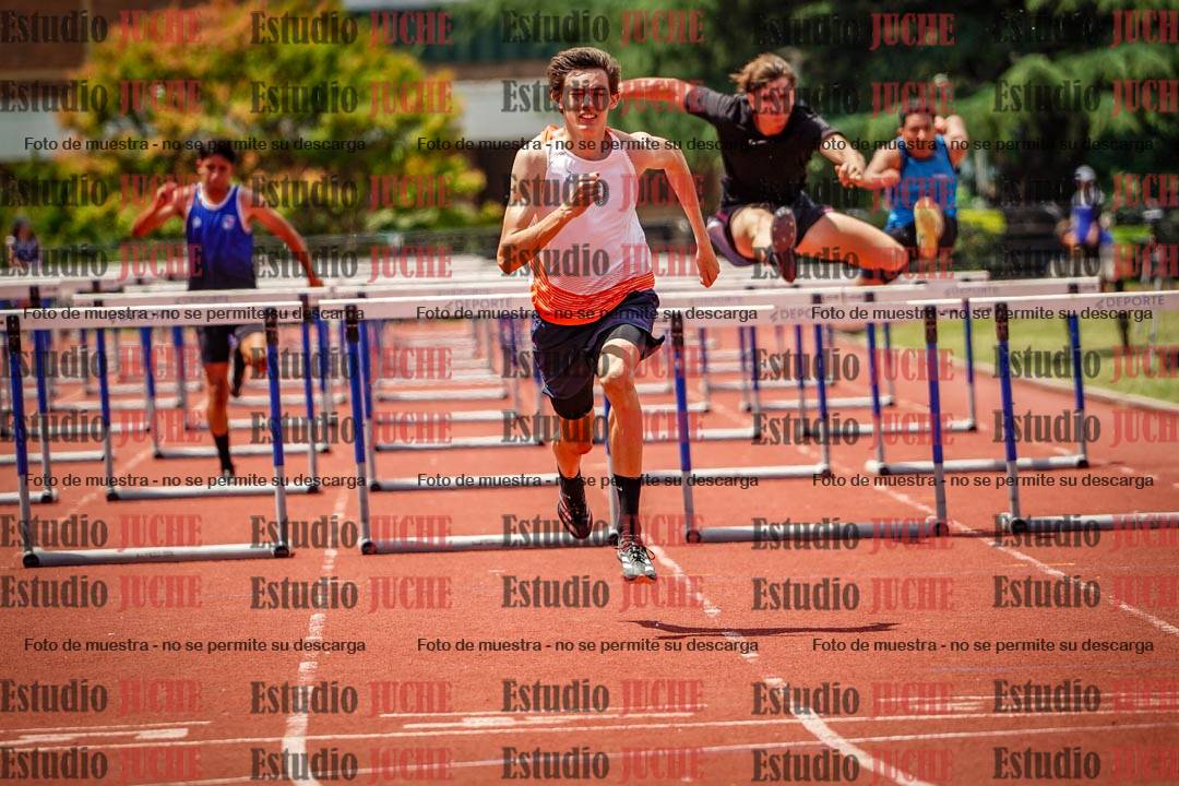 Fotos de los 110 m con vallas de varones