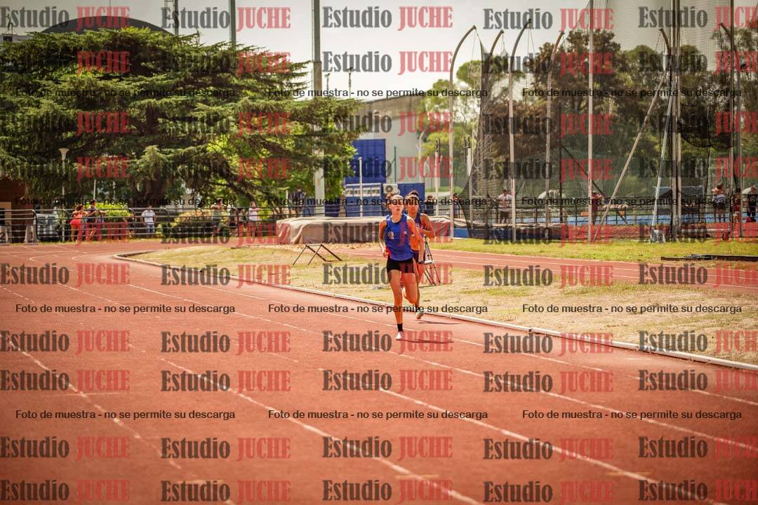 Fotos de los 800 m llanos de mujeres - combinadas 7