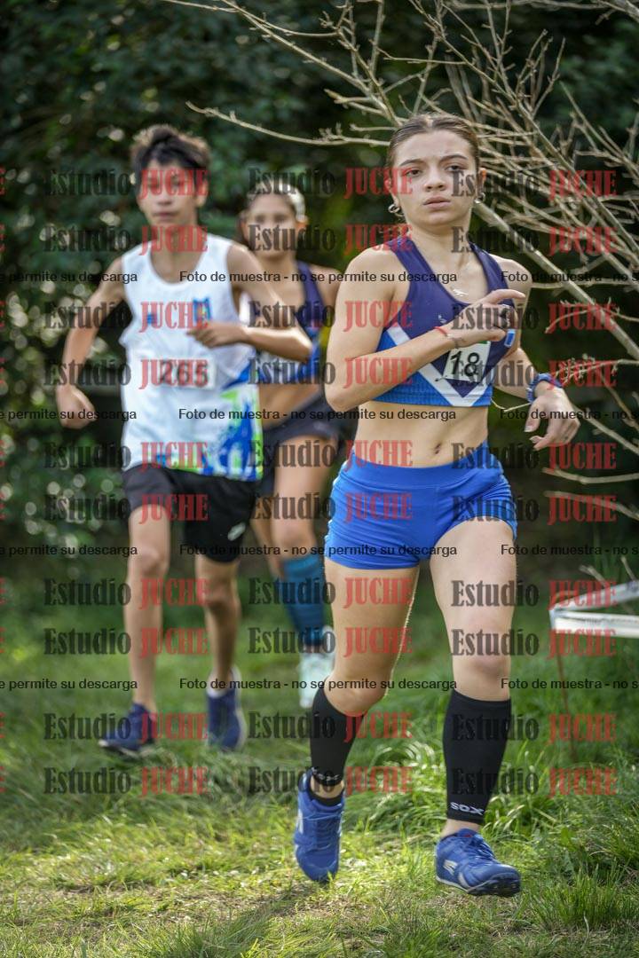 Fotos en el circuito