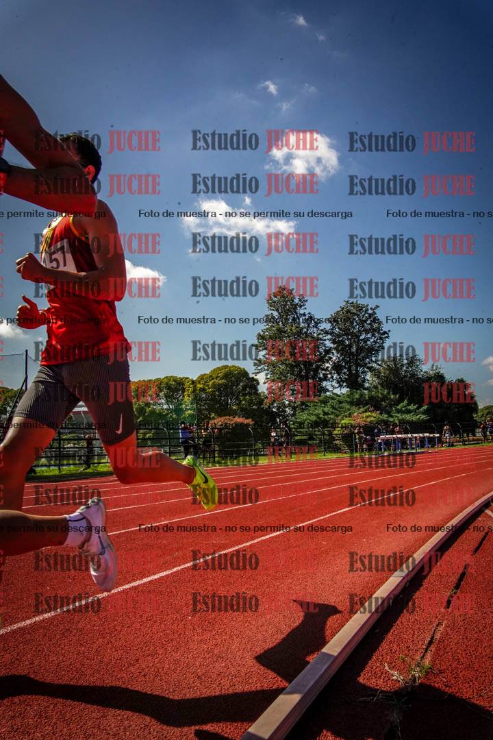 Fotos de los 5000 m llanos