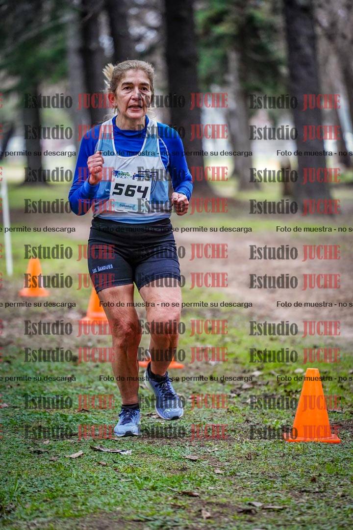 Fotos en el circuito