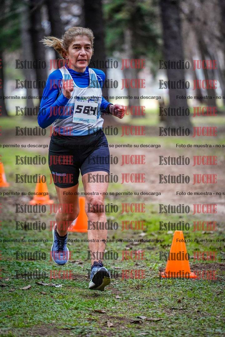 Fotos en el circuito