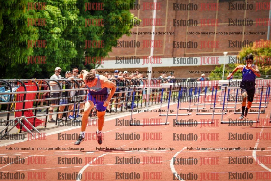 Fotos de los 110 m con vallas de varones