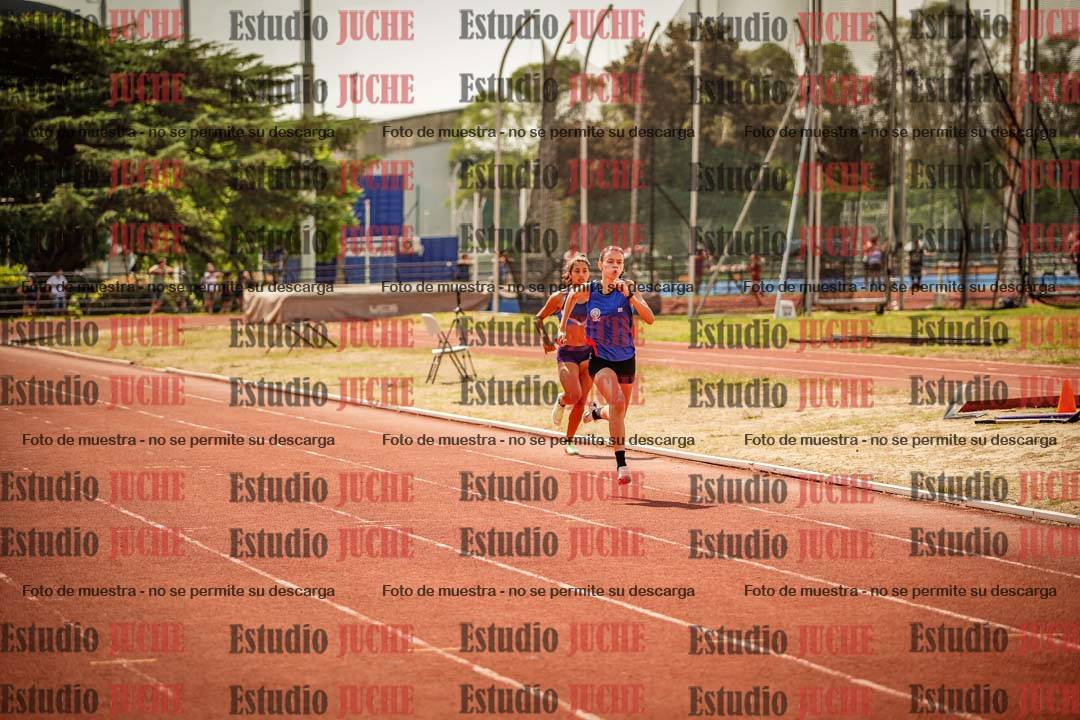 Fotos de los 800 m llanos de mujeres - combinadas 7