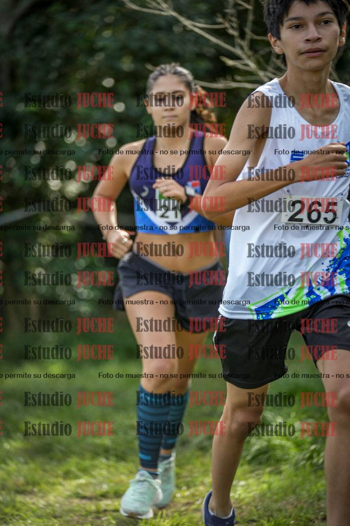 Fotos en el circuito