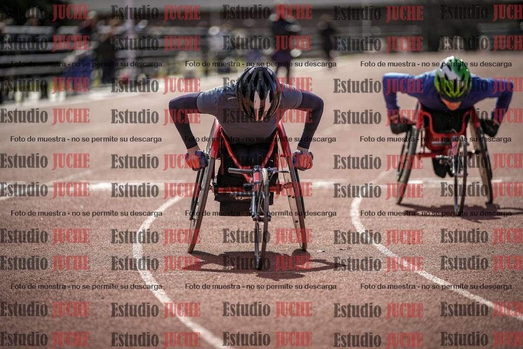 Fotos de los 800 m llanos de silla de ruedas